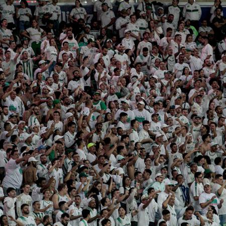 Torcedores do Palmeiras durante partida contra o Grêmio pelo Brasileirão