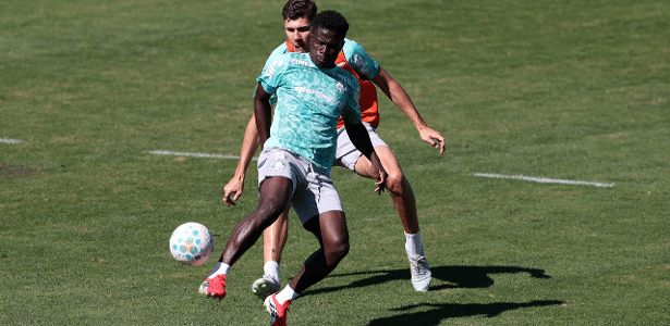 Palmeiras tenta regularizar atacante camaronês para jogo contra Coritiba