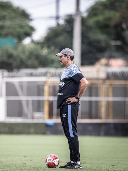 Santos: Carille no comando do treino no CT Rei Pelé