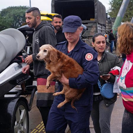 Cachorro sendo resgatado após enchentes em Porto Alegre, no Rio Grande do Sul