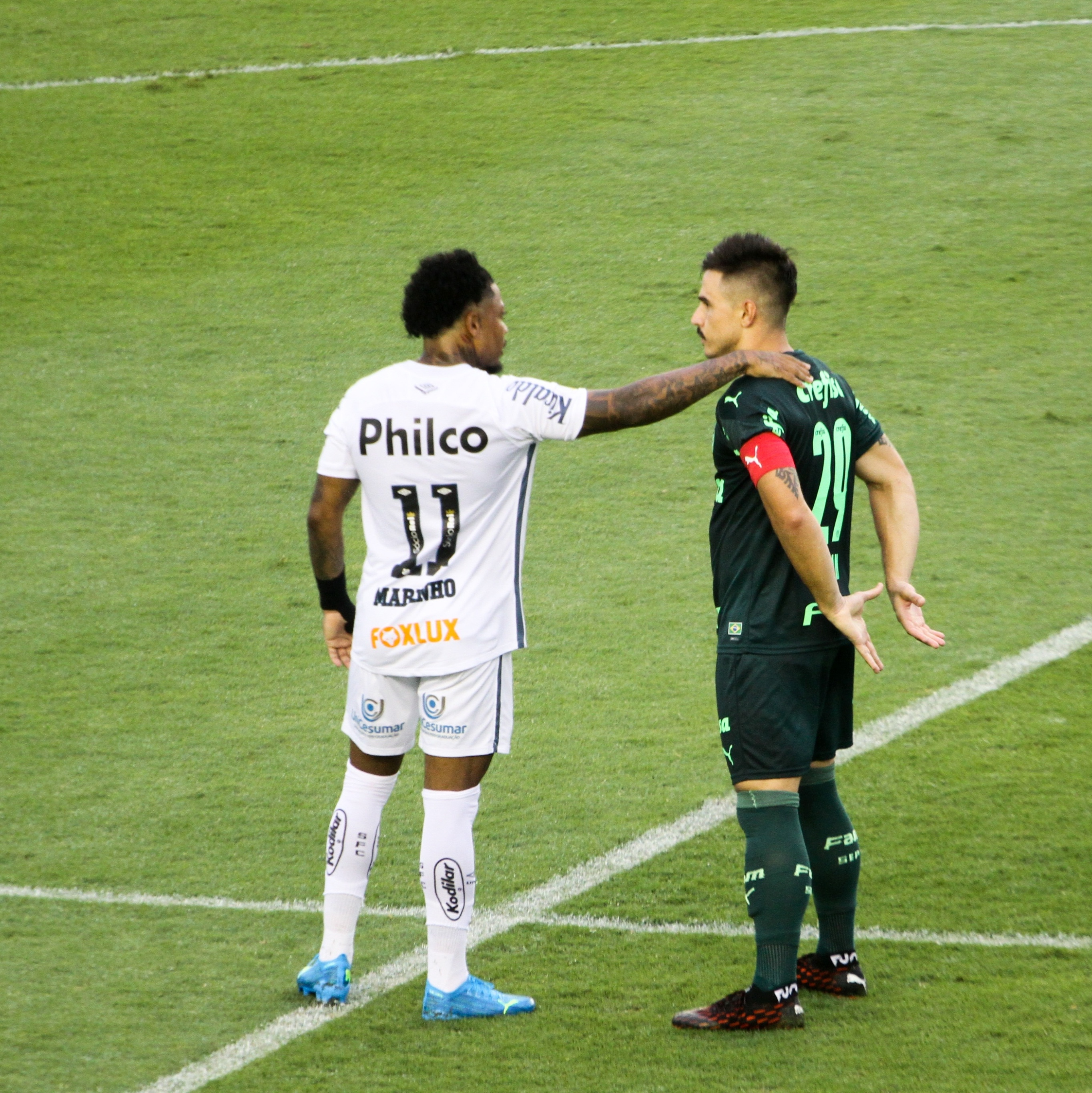 Confronto entre Botafogo e Palmeiras reúne três dos jogadores mais  importantes do Brasileirão