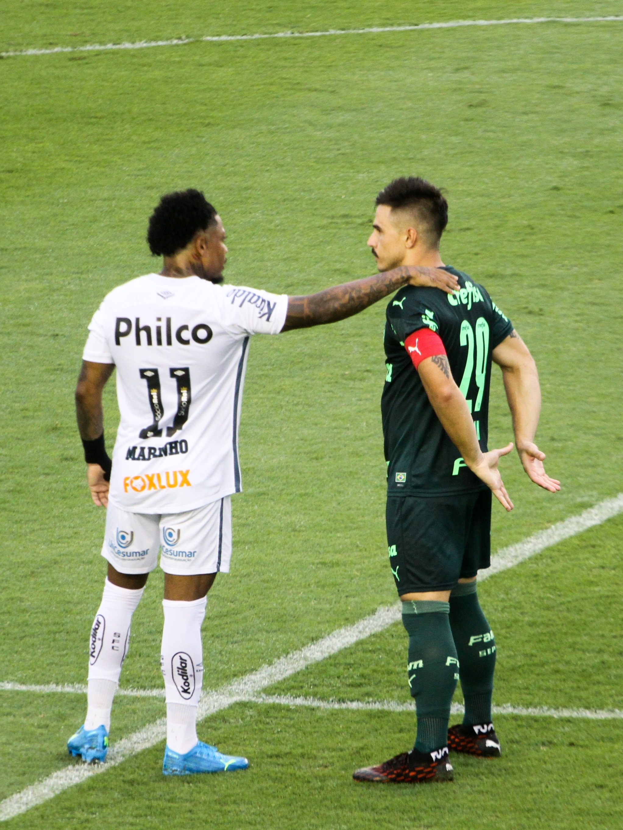 Santos x Palmeiras: informações, estatísticas e curiosidades – Palmeiras