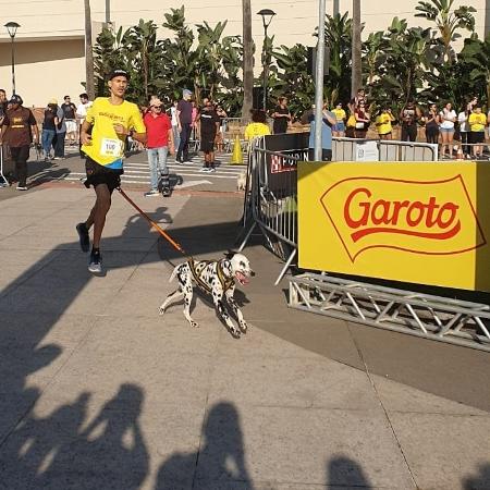 Abner e Pandora venceram 2ª edição da Cachorrida, evento organizado pela Garoto