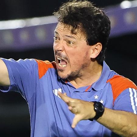 Fernando Diniz, técnico do Cruzeiro