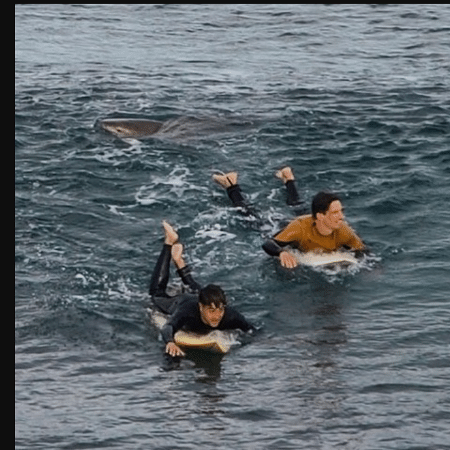 Surfista francês Dylan Nacass foge de ataque de tubarão - Reprodução