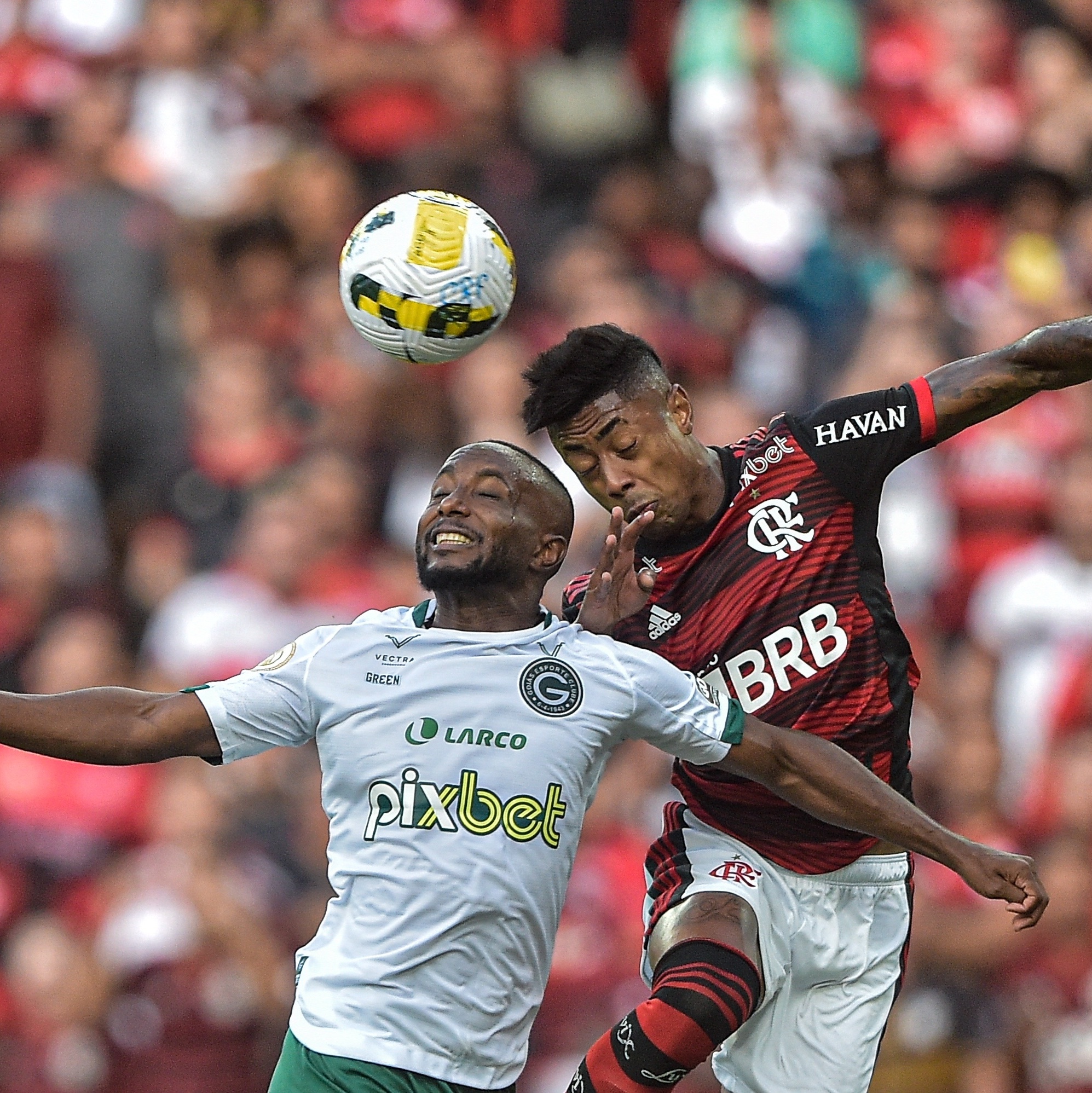 Assistir Flamengo x Goiás online - Futebol Bahiano