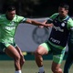Palmeiras se reapresenta após goleada e inicia preparação para enfrentar o Athletico