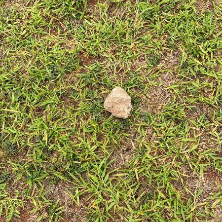 Jogo entre Flamengo e Corinthians tem confusão das torcidas do lado de fora