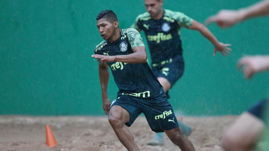 Atacante Rony treina com os novos companheiros de Palmeiras na Academia - Divulgação/SE Palmeiras
