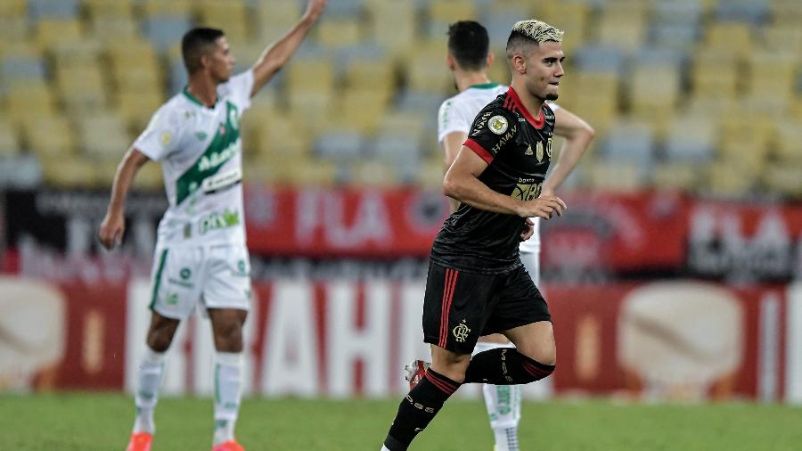 Andreas Pereira comemora gol do Flamengo contra o Juventude pelo Brasileirão - Thiago Ribeiro/AGIF