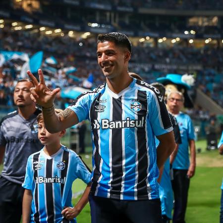 Luis Suárez estreia hoje pelo Grêmio - Lucas Uebel/Gremio FBPA