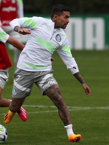 Jogadores do Palmeiras durante treino após reapresentação - Reprodução