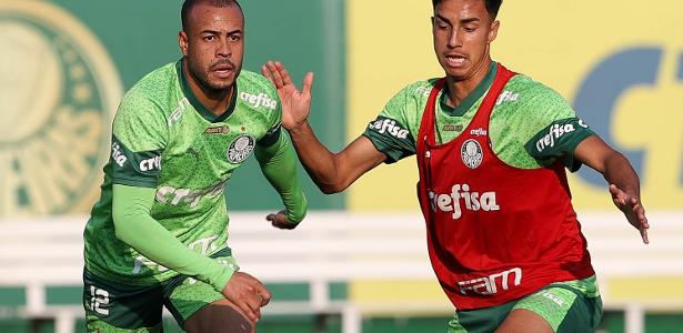 Palmeiras realiza treino tático e agenda atividade próxima à partida contra Botafogo