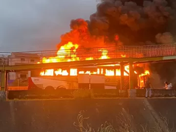 Mancha Verde é vetada de estádios em SP; polícia pede prisão de lideranças