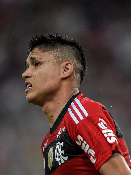 Luiz Araújo, do Flamengo, durante jogo contra o Internacional pelo Campeonato Brasileiro