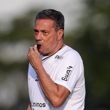 Saiba o que a diretoria do Corinthians pensa sobre possível demissão de  Luxemburgo