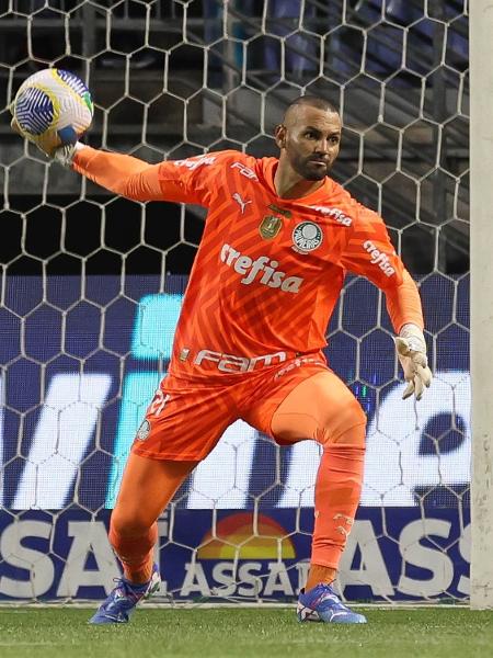 Weverton, do Palmeiras, em jogo contra o Botafogo, pelo Brasileirão - Cesar Greco/Palmeiras/by Canon