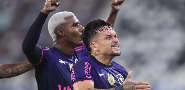 Botafogo garante vaga na Libertadores após vitória sobre o Grêmio.