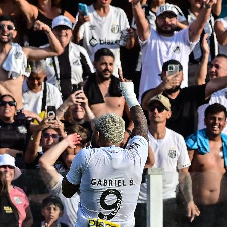 Gabigol comemora o gol do Santos em cima do Novorizontino