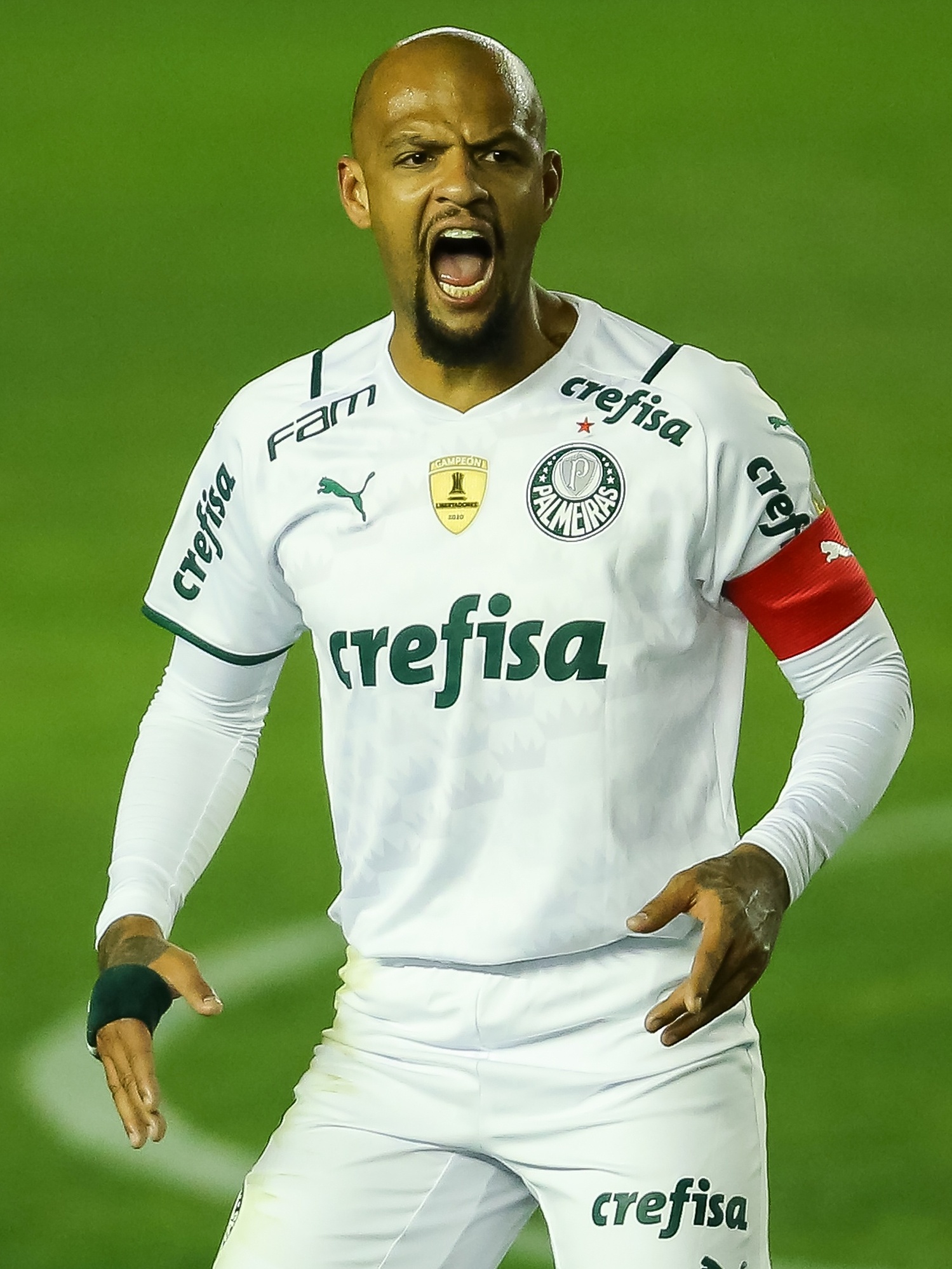 Felipe Melo recebe sexto cartão em oito jogos, e Palmeiras é o time mais  advertido do Brasileirão, palmeiras