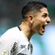 Botafogo atropela Palmeiras, cala Allianz e fica perto do título brasileiro