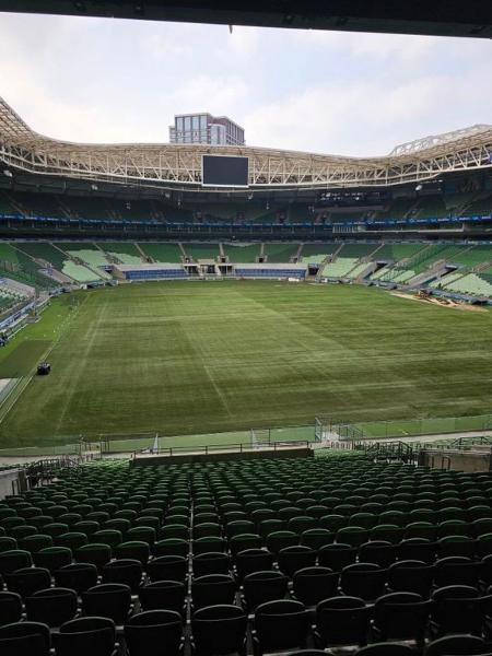 "Novo gramado" do Allianz Parque já foi testado pelo time sub-20 do Palmeiras