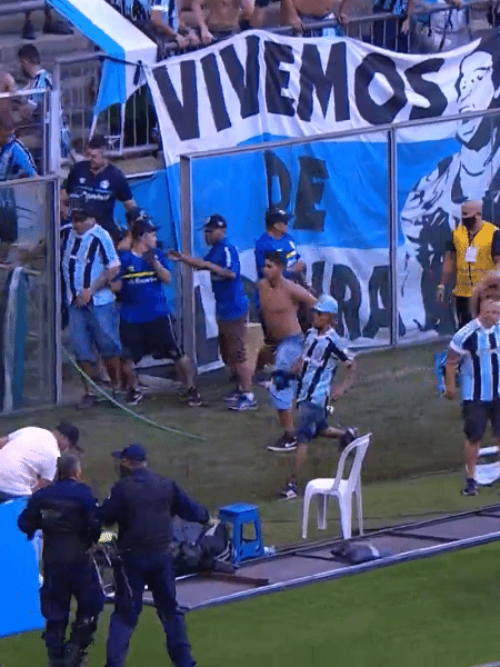 Torcedores do Grêmio invadem campo após a derrota para o Palmeiras - Reprodução / TV Globo