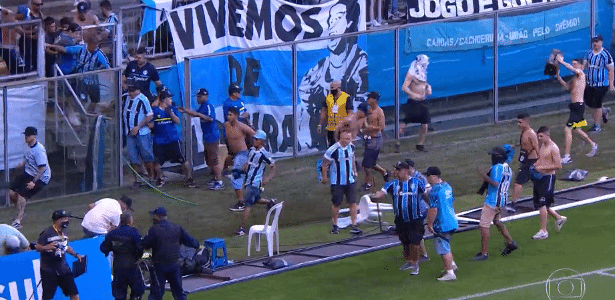 Torcedores do Grêmio invadem campo após a derrota para o Palmeiras