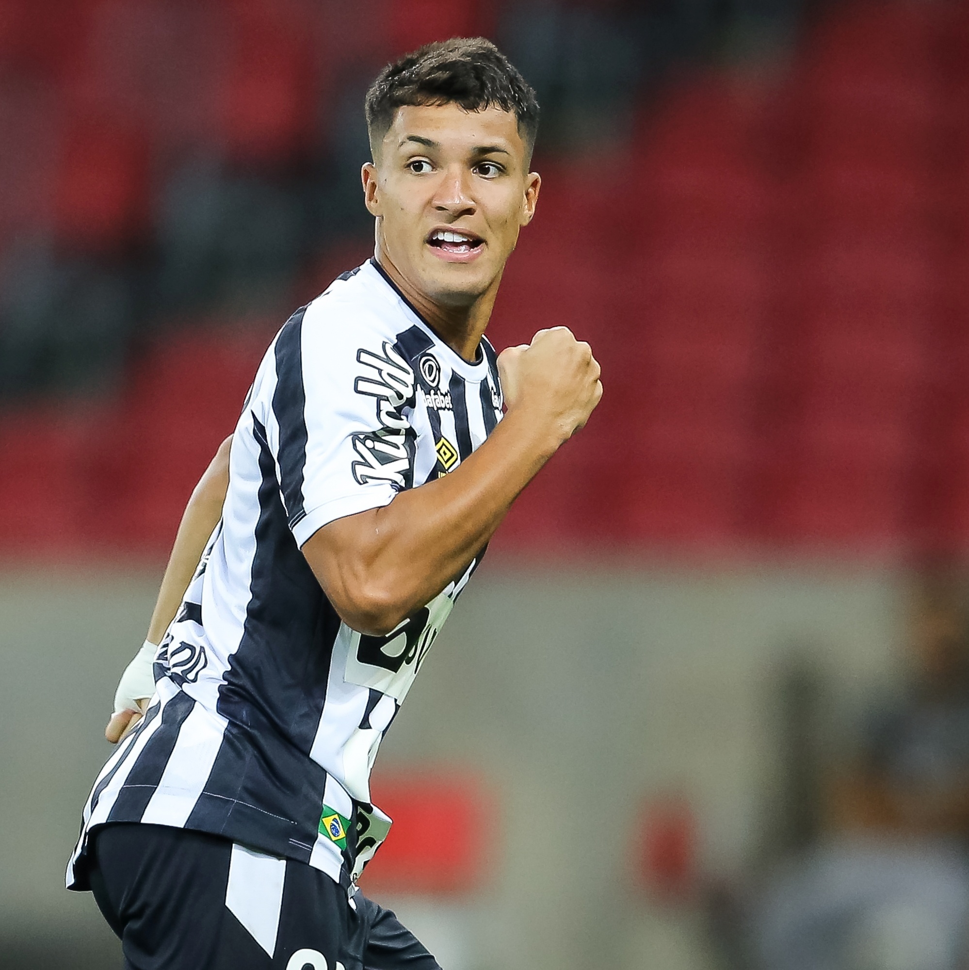 Após derrota do Santos, Inter comemora fato de ser último sul