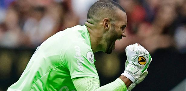 Weverton 2023 - Defesas & Reflexos Absurdos - Palmeiras