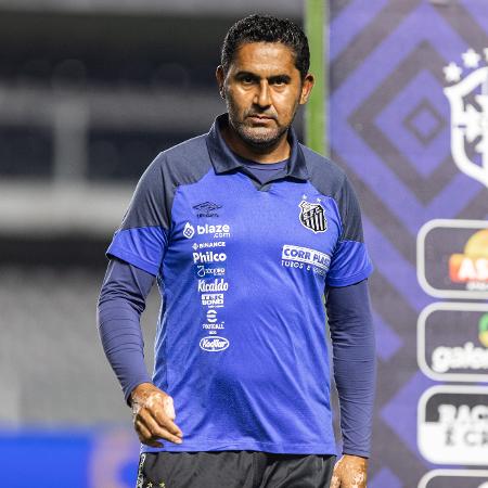 Claudiomiro, técnico do Santos,durante partida contra o Flamengo pelo Brasileirão -  Abner Dourado/AGIF