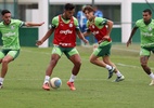 Após perder chuva de gols, Palmeiras calibra a pontaria para enfrentar o Bahia - Cesar Greco/Palmeiras