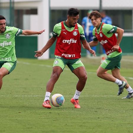 Jogadores do Palmeiras durante treinamento na Academia de Futebol