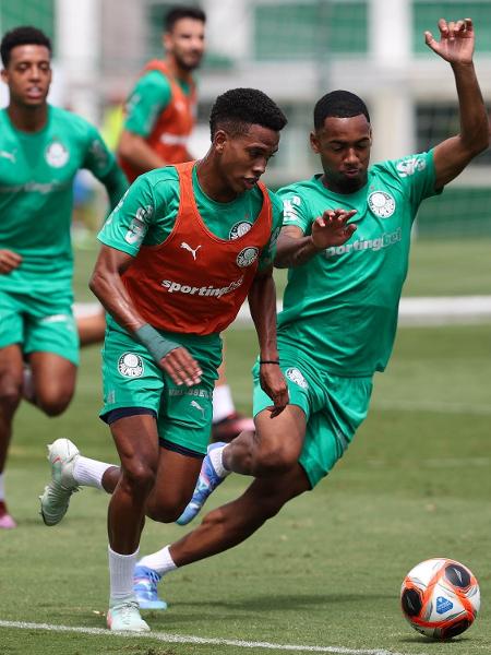 Estevão e Allan, do Palmeiras, durante treinamento, na Academia de Futebol Estevão e Allan, do Palmeiras, durante treinamento, na Academia de Futebol