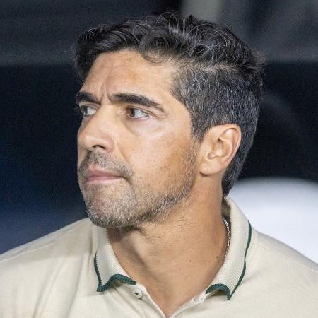 Palmeiras fará três jogos como visitante em sequência - Baggio Rodrigues/AGIF