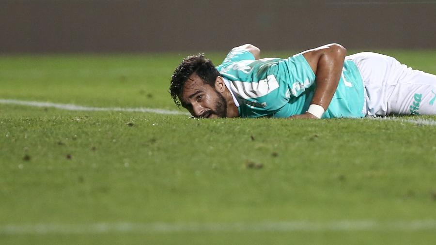 Atacante disputou apenas quatro jogos pelo Palmeiras em 2019 - Marcello Zambrana/AGIF