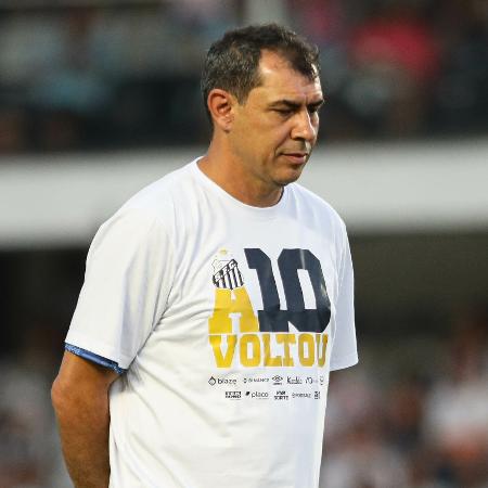 Fábio Carille, técnico do Santos, durante a premiação do título da Série B após a derrota para o CRB