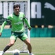 Palmeiras faz treino técnico e tático para enfrentar o Cruzeiro