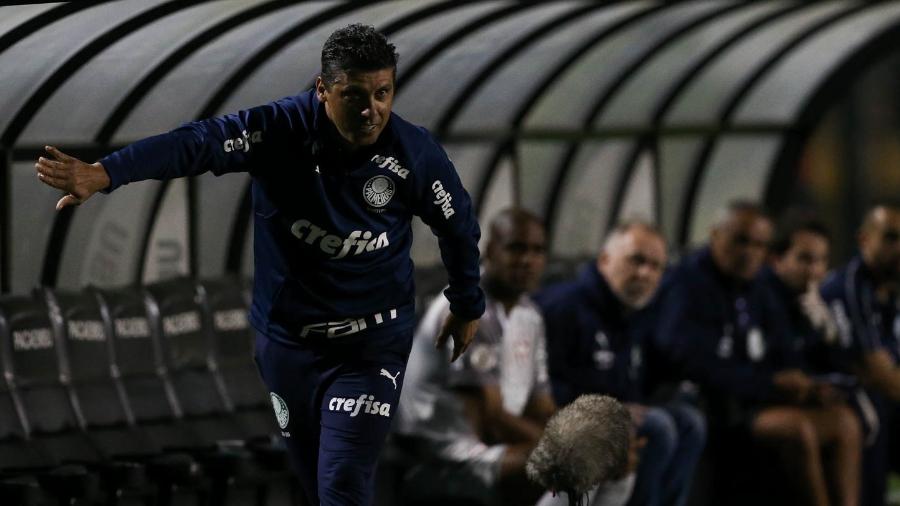 Sidnei Lobo orienta o Palmeiras em jogo contra o CSA; auxiliar vai comandar o time no domingo - Cesar Greco/Ag. Palmeiras/Divulgação