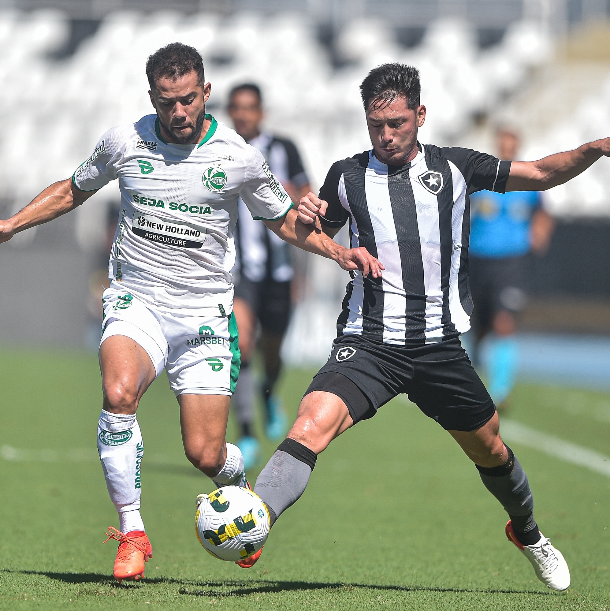 Jogo do Botafogo ao vivo hoje - (26/9): onde assistir, horário e escalação