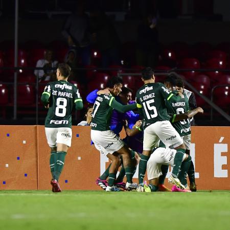 Jogadores do Palmeiras comemoram com de Rafael Navarro contra o Cerro Porteño, pela Libertadores - Eduardo Carmim/Agência Estado