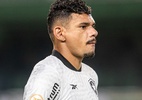 Transmissão de Botafogo x Cruzeiro ao vivo: veja onde assistir - VINICIUS DO PRADO/AGÊNCIA F8/ESTADÃO CONTEÚDO