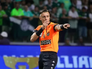 Botafogo declara guerra a árbitro e pede afastamento enquanto durar CPI