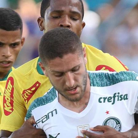 Ze Raphael Domingo decide finalistas em Rio e São Paulo. Informações e palpites do PVC