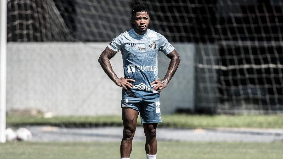 Retorno de Marinho pode acontecer no próximo jogo pela Libertadores - Ivan Storti/Santos FC