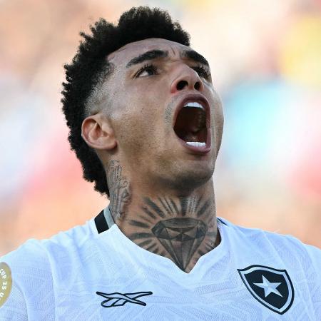 Botafogo Shocks PSG in Historic Victory and Eyes Knockout Spot in Club World Cup