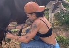 Amanda Nunes ordenha vaca em vídeo e diz: "Essa é a vida que eu gosto" - reprodução/Instagram