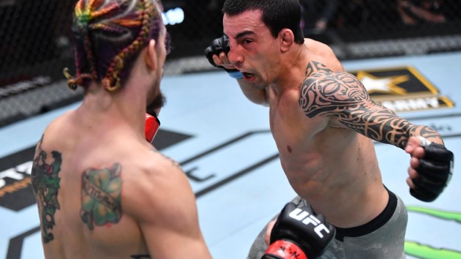 O brasileiro Thomas Almeida foi nocauteado por Sean O"Malley no UFC 260 - UFC/Divulgação