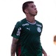 Palmeiras: joia que marcou do meio-campo j&aacute; foi her&oacute;i de t&iacute;tulo do Flamengo