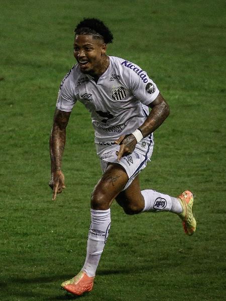 Marinho jogador do Santos comemora seu gol durante partida contra o Sport no estadio Ilha do Retiro  -  Paulo Paiva/AGIF